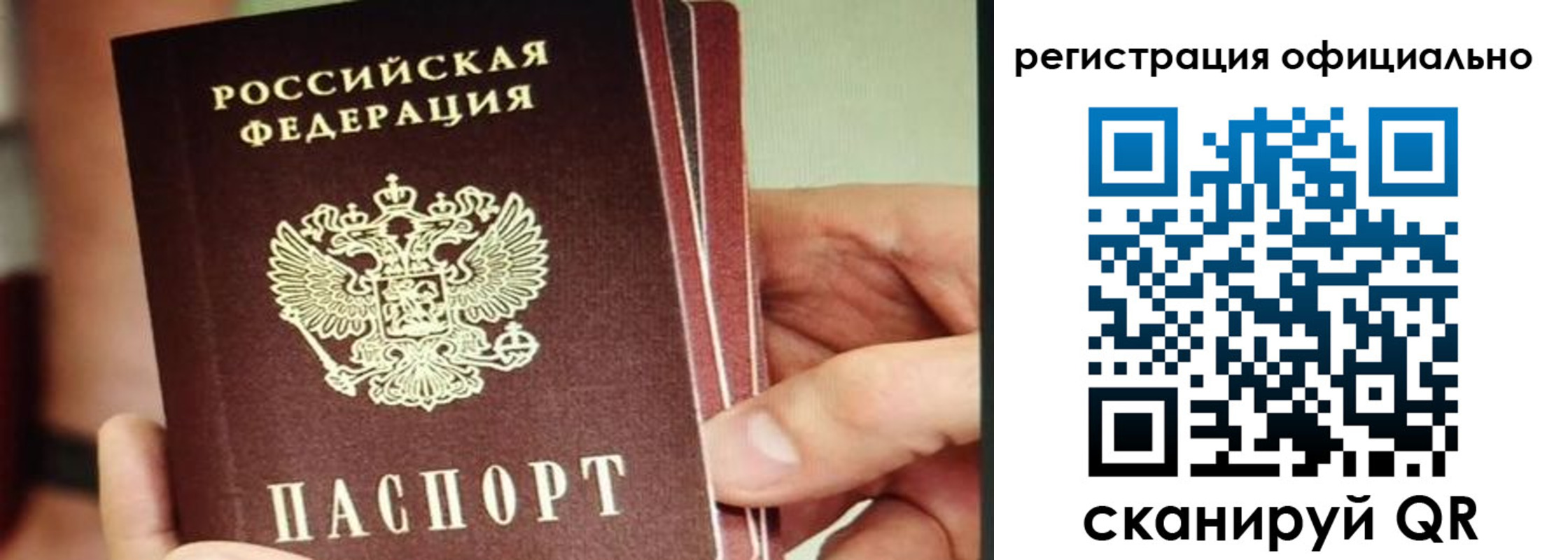 прописка гарантия в Королёве